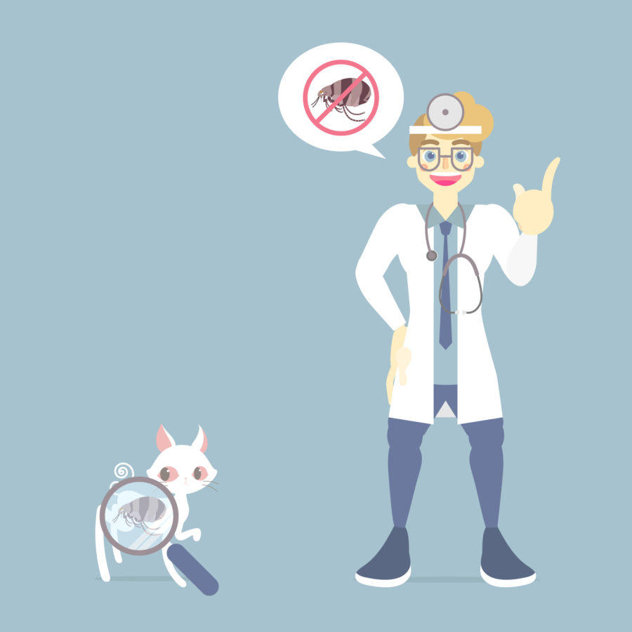 Product of the Week: Flea Control