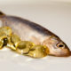 Product of The Week: Cod Liver Oil