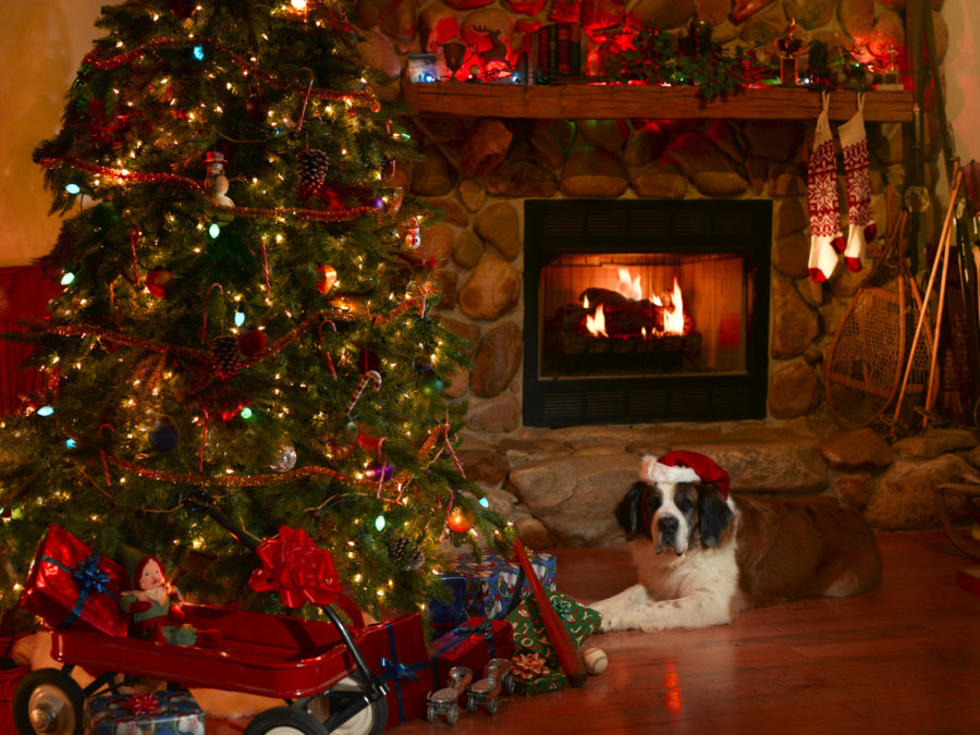 Pets And The Holiday Season