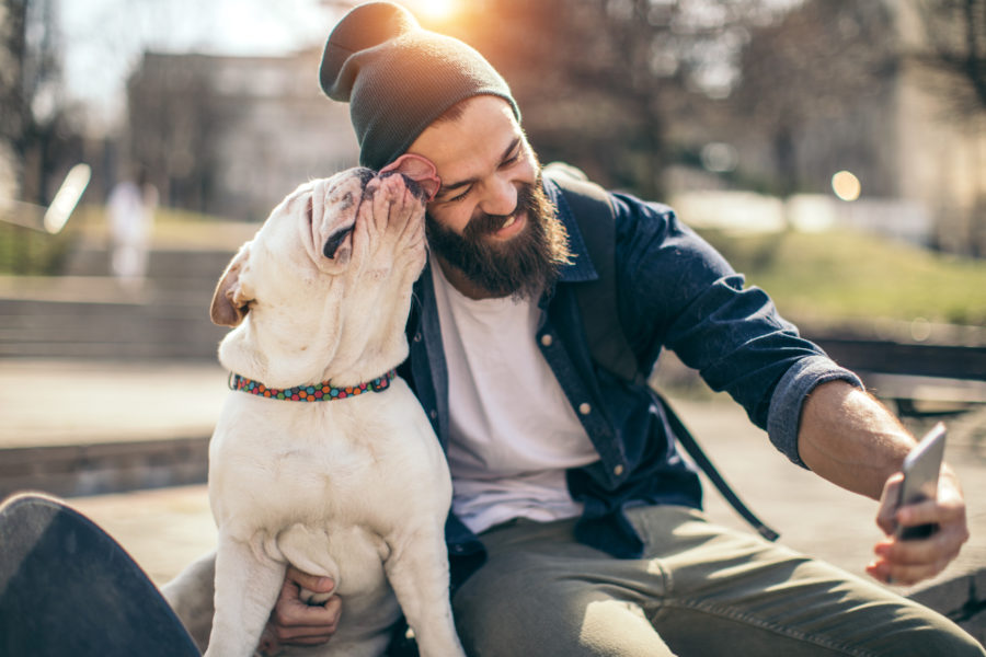 How to Take a Holiday Photo With Your Pet