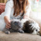 Top 5 Ways to Introduce New Pets to Each Other