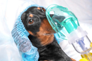 Healing with Oxygen