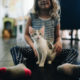 9 Tips For New Cat Owners