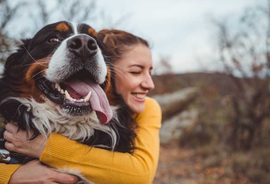Tips for pet owners