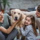 9 Tips For New Dog Owners
