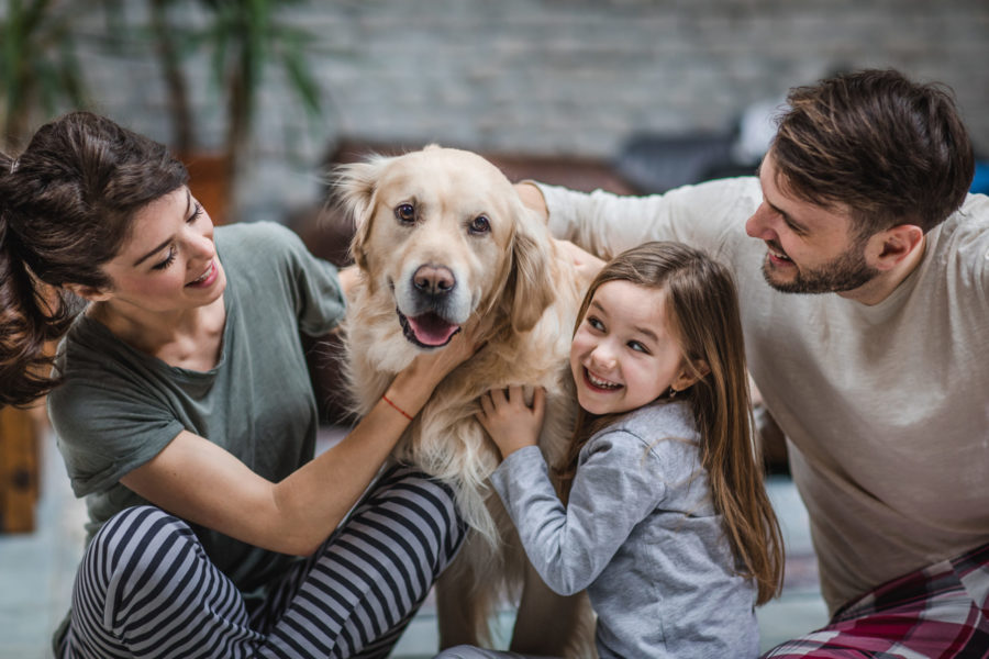 9 Tips for New Dog Owners