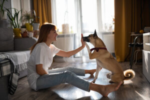 Canine body language