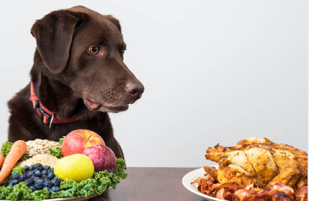 March is pet nutrition month