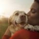 Pet Insurance Made Simple