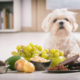 8 Common Toxins That Don’t Get Mentioned Enough