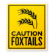 Watch Out for Foxtails! The Foxtail and the Hound
