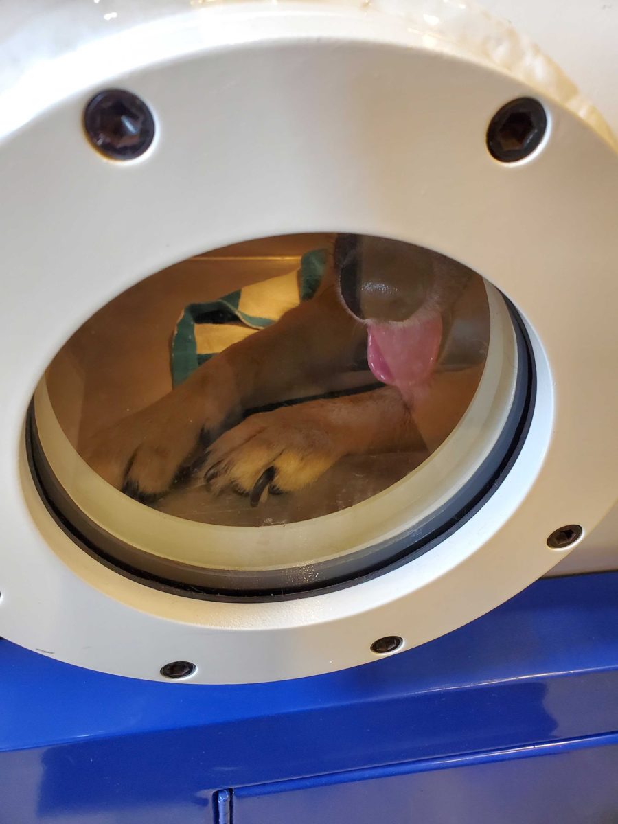 Hyperbaric Oxygen Therapy