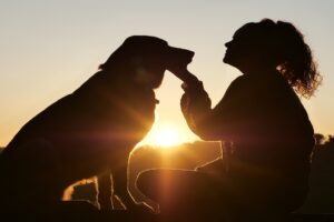 tips for pet owners