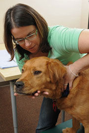 lisa-koenig Lisa Koenig, DC Applied Kinesiology