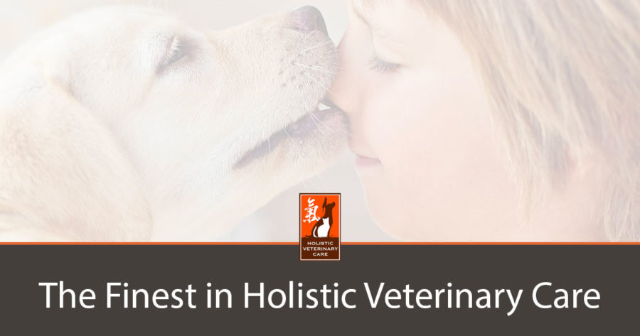 Holistic Veterinary Care